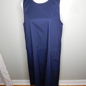 everlane women dress blue sz 12